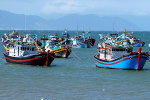 Kiện toàn Ban Chỉ đạo quốc gia về IUU, phát triển bền vững ngành thủy sản