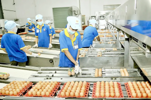 Doanh nghiệp rút lui khỏi thị trường: Áp lực lớn nhưng cũng mở ra quá trình tái cấu trúc mới