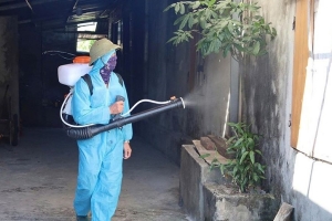 Hà Tĩnh: Tập trung ngăn chặn dịch sốt xuất huyết lây lan diện rộng