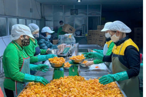 Bắc Ninh cấp Giấy chứng nhận cho 32 doanh nghiệp khoa học và công nghệ