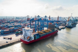 Cảng Đình Vũ (DVP): Lợi nhuận quý I/2026 suy giảm, dự chi cổ tức tiền mặt tỷ lệ 50%