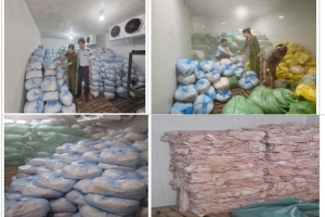 Thanh Hóa: Tạm giữ hơn 14 tấn bì lợn đông lạnh không rõ nguồn gốc