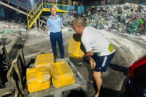 Phú Thọ: Xử phạt và buộc tiêu hủy hơn 200 kg thực phẩm đông lạnh nhập lậu