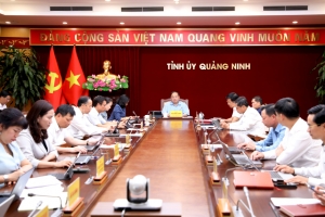 Quảng Ninh: Phát huy lợi thế về phát triển điện gió