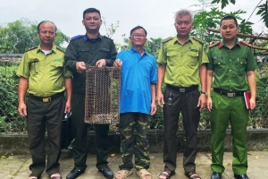 Vườn Quốc gia Vũ Quang tiếp nhận 1 cá thể trăn đất do người dân giao nộp
