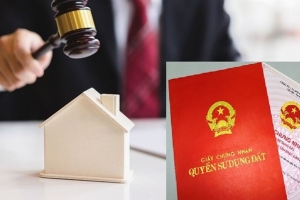 Hưng Yên tổ chức đấu giá quyền sử dụng đất tại xã Yên Mỹ