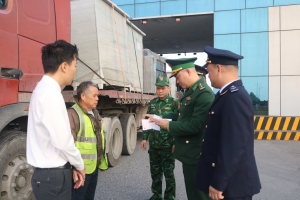 Hải quan Móng Cái: Xử lý nghiêm các hành vi buôn lậu, xâm phạm quyền sở hữu trí tuệ