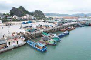 Công bố mở cảng cá Cái Rồng tại đặc khu Vân Đồn