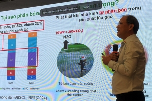Cần Thơ: Hội thảo kết nối chuỗi cung ứng phân bón trong canh tác lúa chất lượng cao phát thải thấp