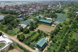 Hà Nội miễn tiền thuê đất cho cơ sở xã hội hóa ở nhiều khu vực