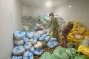Thanh Hóa: Phát hiện 14 tấn bì heo không rõ nguồn gốc xuất xứ