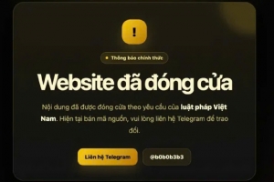 Siết vi phạm bản quyền số: Cần giải pháp đồng bộ để tránh tái diễn