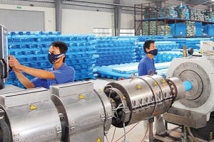 Nhựa Bình Minh dự kiến trả cổ tức tiền mặt năm 2025 ở mức cao kỷ lục