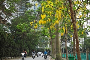 Hà Nội dự kiến hoàn thành cải tạo tuyến đường ven hồ Tây vào năm 2030