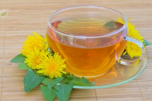 Trà bồ công anh có tác dụng gì? Những lợi ích và lưu ý quan trọng khi sử dụng