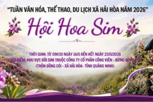 Quảng Ninh: Tuần Văn hóa, Thể thao và Du lịch xã Hải Hòa năm 2026 sẽ được khai mạc vào ngày 16/5