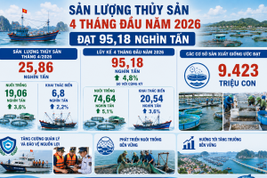 Ninh Bình: Sản lượng thủy sản 4 tháng đầu năm 2026 đạt 95,18 nghìn tấn