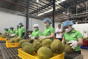 Doanh nghiệp xuất khẩu chạy đua trước “hàng rào” mới của Trung Quốc