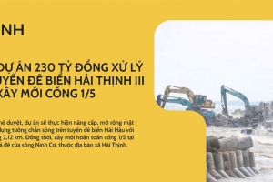 Ninh Bình: Phê duyệt dự án 230 tỷ đồng xử lý cấp bách tuyến đê biển Hải Thịnh III và xây mới cống 1/5