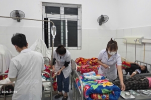 Hơn 200 học sinh ở Lai Châu nghi ngộ độc sau khi ăn quả lạ