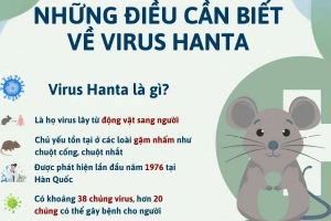 Hà Tĩnh: Tăng cường giám sát, phòng chống bệnh do vi rút Hanta