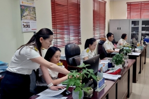 Thuế tỉnh Lai Châu: Thu ngân sách 4 tháng đạt 871,6 tỷ đồng