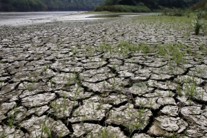 El Nino rất mạnh tác động đến Việt Nam: Cần chủ động ứng phó
