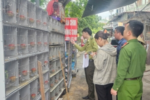 Hải Phòng: Phát hiện 3 trường hợp vi phạm mua, bán, nuôi nhốt động vật hoang dã