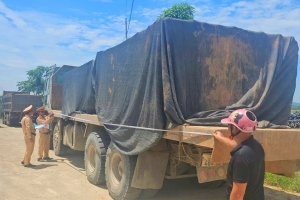 Công an Thanh Hóa xử lý gần 1.480 xe quá khổ, cơi nới thành thùng