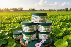 Từ “vựa nông sản” đến trung tâm giá trị cao: Lâm Đồng bước vào cuộc đua thương hiệu toàn cầu