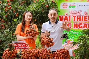 Vải thiều Bắc Ninh “lên sóng” mùa vụ: Mở rộng đầu ra nhờ thương mại điện tử