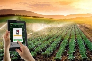 Hợp tác xã sắp được hỗ trợ tối đa 100 triệu đồng mỗi năm để chuyển đổi số
