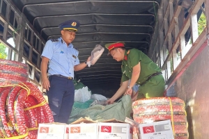 Phát hiện lô hàng nghi xâm phạm quyền sở hữu trí tuệ trị giá hơn 500 triệu đồng