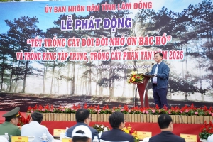 Lâm Đồng phát động “Tết trồng cây đời đời nhớ ơn Bác Hồ”: Ở đâu có đất trống, ở đó có cây xanh
