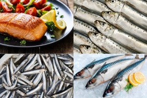 Những dòng cá bình dân sở hữu hàm lượng omega-3 vượt trội không thua kém cá hồi