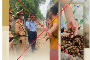 Cảnh giác thông tin xuyên tạc vụ kiểm tra lô hàng ve sầu khô ở Lạng Sơn