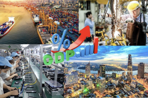 ROX Group 30 năm: Dấu ấn tiên phong từ khu công nghiệp đến đô thị và năng lượng xanh