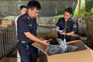 Lực lượng hải quan tiếp tục phát hiện nhiều hàng hóa vi phạm quyền sở hữu trí tuệ