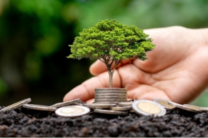Lãi tăng vọt, doanh nghiệp xây dựng quyết định chia cổ tức tỷ lệ 120%