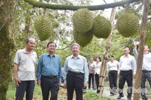 Đồng Tháp sắp tổ chức Lễ hội Trái cây lần đầu tiên với chủ đề “Miền trái ngọt”