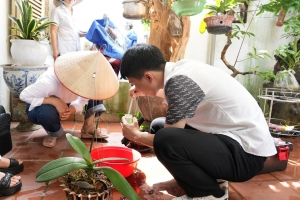 Hải Phòng ghi nhận 79 trường hợp mắc sốt xuất huyết do vi rút Dengue gây ra