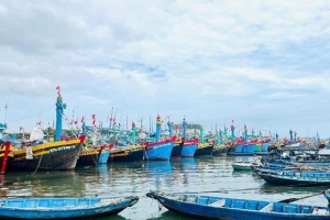 Lâm Đồng thành lập Ban Chỉ đạo thực hiện Chiến lược phát triển bền vững kinh tế biển