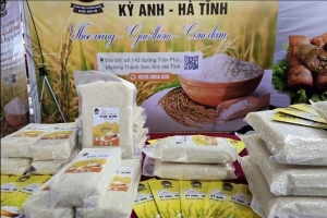 Gạo Kỳ Anh - Hà Tĩnh được cấp chứng nhận bảo hộ nhãn hiệu