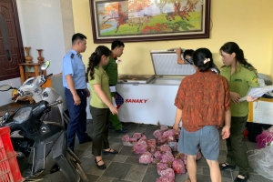 Thanh Hóa: Phát hiện, thu giữ gần 300 cá thể cò hương cấp đông