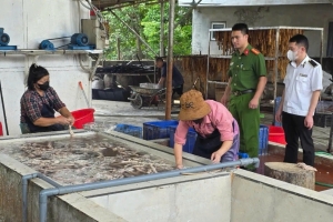 Bắc Ninh: Phát hiện cơ sở kinh doanh hơn 3 tấn lòng lợn bốc mùi