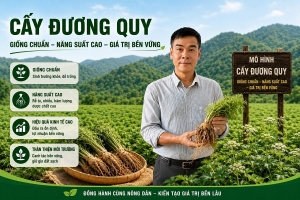 Phường 2 Bảo Lộc: Đưa y học cổ truyền trở thành nguồn lực chăm sóc sức khỏe nhân dân thời kỳ mới