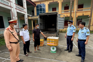 Phú Thọ: Phát hiện số lượng lớn sản phẩm động vật không bảo đảm an toàn thực phẩm