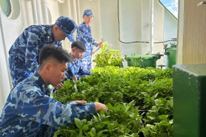 Những “mầm xanh” trên boong tàu Cảnh sát biển