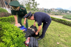 Hải quan khu vực VII: Phát hiện lô hàng thực phẩm đông lạnh vô chủ