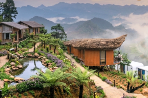 Lào Cai: Khơi dậy “mỏ vàng xanh” trên cao nguyên Bắc Hà